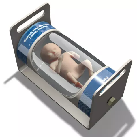 Фетальный ультразвуковой фантом FTB Fetal Ultrasound Training & Biometric Phantom фото 1