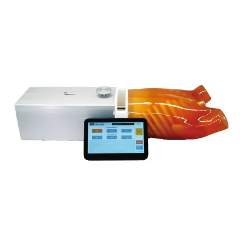 Динамичный антропоморфный фантом грудной клетки Ref. PH-39 Dynamic Thorax Phantom фото 1