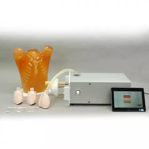 Динамичный фантом сердца и лёгких Ref. PH-48 Dynamic Heart and Lung Phantom фото 1