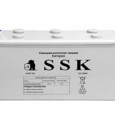 Аккумулятор 6-GP-100 фото 1