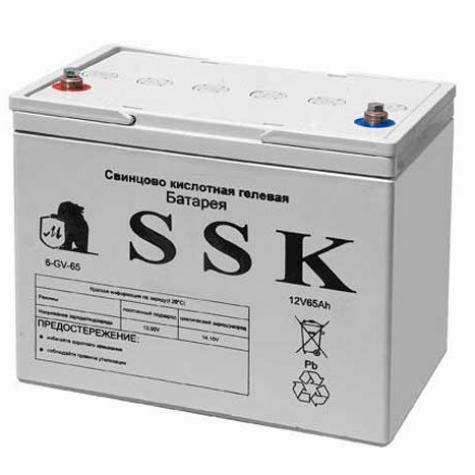 Аккумулятор 6-GV-50 фото 1